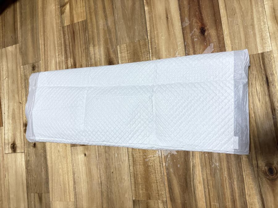 Pet pad on floor